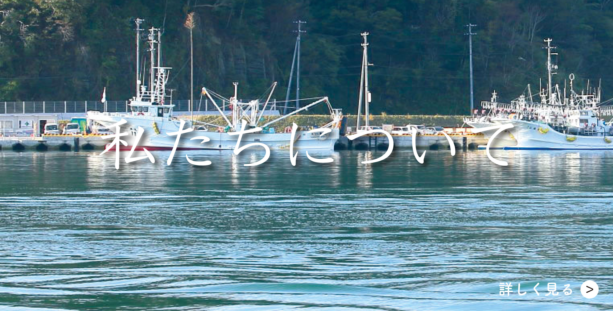 banner_senrei.jpg